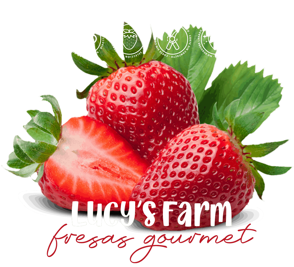 LucysFarm